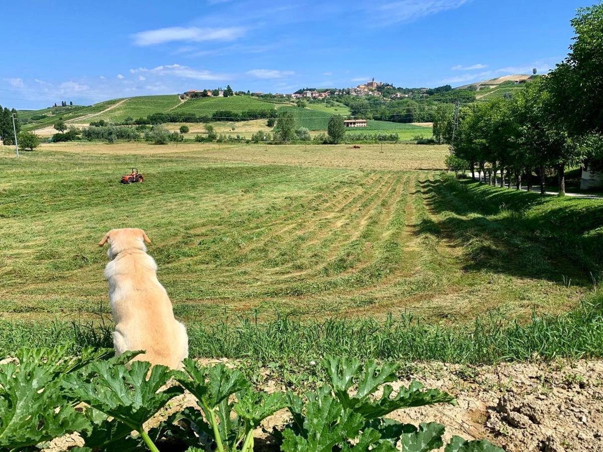 Agriturismo La Mussia Castelnuovo  Extérieur photo
